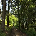 샬레 Vetrnik U Cerneho Dolu V Krkonosich Cista (Hradec Kralove)