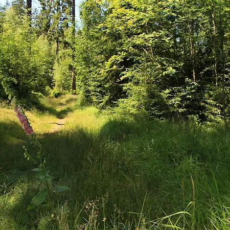 Chalet Větrník U černého Dolu V Krkonoších