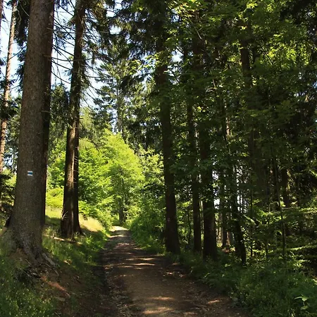Chalet Vetrnik U Cerneho Dolu V Krkonosich Cista (Hradec Kralove)