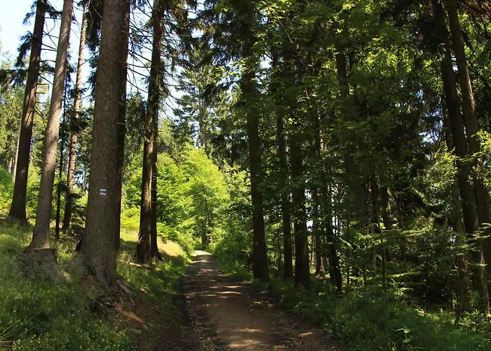Horská chata Větrník U černého Dolu V Krkonoších Cista (Hradec Kralove)
